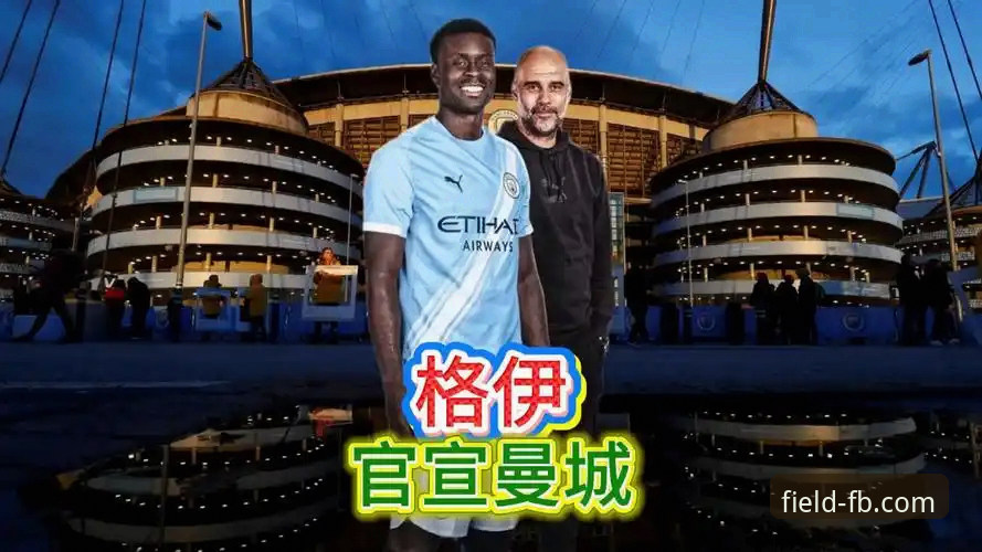 格伊曼城生涯深度评测：从切尔西遗珠到防线核心的蜕变之路